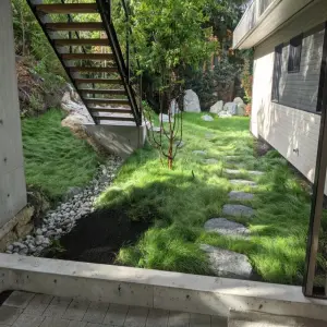 50+ hình ảnh cỏ sân vườn đẹp cho biệt thự hiện đại