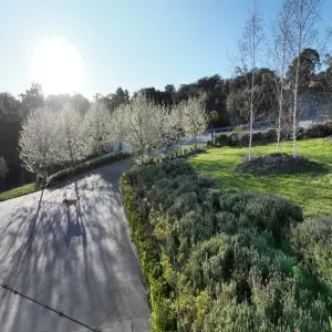 Tuyển tập 200+ mẫu sân vườn đẹp phong cách hiện đại