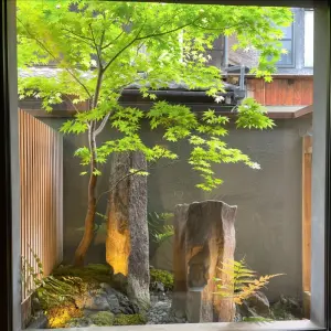 Tận hưởng nhà vườn với 25+ mẫu sân vườn nhỏ cực đẹp