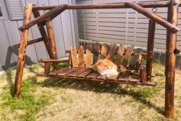 Tổng hợp 99+ hình ảnh xích đu sân vườn gỗ đẹp cổ điển