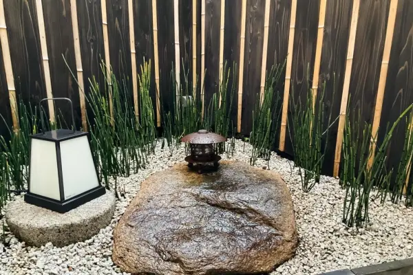 50+ mẫu sân vườn nhà phố đẹp xanh mát hiện đại 2026