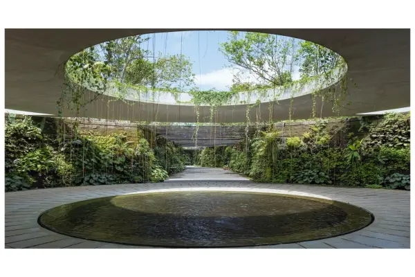 Top 50 mẫu sân vườn tropical rậm rạp đẹp như rừng