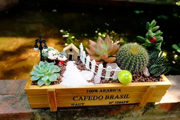 Ảnh tiểu cảnh sen đá nghệ thuật cho không gian nhỏ