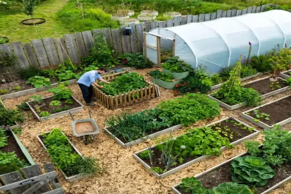 105 Thiết kế vườn rau sạch tại nhà đẹp và thông minh