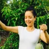 Cây Chiều xuân và khu vườn xanh đầy cảm hứng