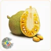 Cây Mít trong những khung hình xanh mát