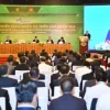 Cây Quýt và bộ ảnh vườn quả đẹp mê hoặc