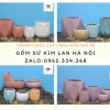 Chậu hoa cảnh nhỏ đẹp cho góc sống xanh 2026