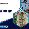 Giàn hoa sân vườn đẹp khiến ngôi nhà bừng sáng