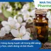 Hoa bưởi đẹp ngất ngây trong mùa hương tháng Ba