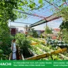 Khu vườn sân thượng đẹp như miền xanh trên mái