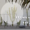 Sân vườn nhỏ đẹp biến lối hông thành thơ