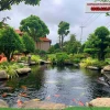 Thi công cảnh quan đẹp với vườn xanh giàu sức sống