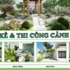 Thiết kế thi công sân vườn đẹp như tranh