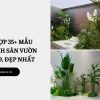 Thiết kế tiểu cảnh đẹp cho không gian sống xanh
