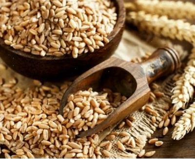 Spelt là một ngũ cốc nguyên hạt giàu dinh dưỡng cổ đại