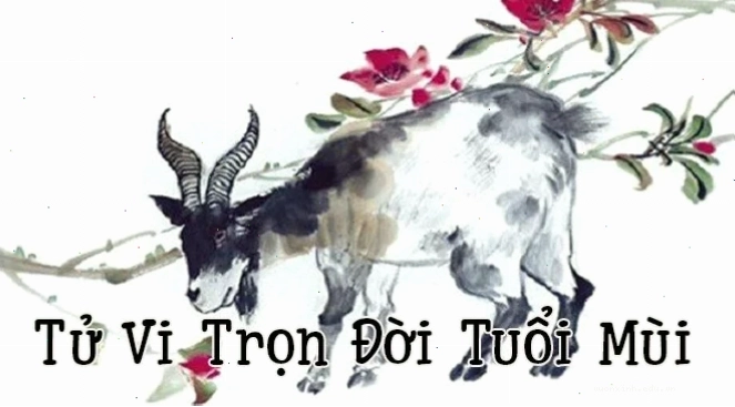 Phân tích chi tiết tử vi trọn đời tuổi Mùi và vận hạn năm 2026