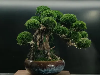 Tinh hoa nghệ thuật bonsai Việt Nam nâng tầm giá trị