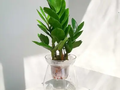 Cây để bàn thờ Thần Tài vừa đẹp vừa mang tài lộc về nhà