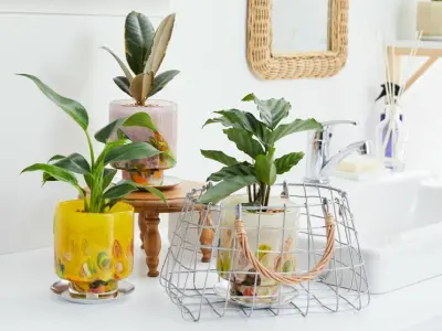 Tuyển chọn chậu hoa đẹp với thiết kế cuốn hút và tinh tế