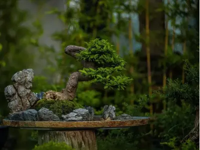 Những dáng cây bonsai nghệ thuật nâng tầm giá trị kiệt tác