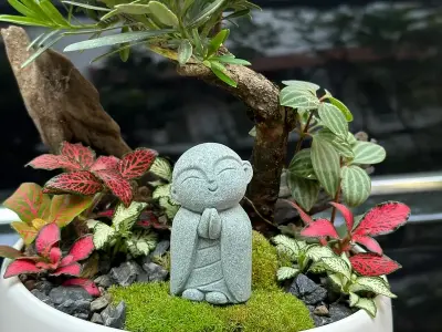 Bộ sưu tập 95+ ảnh bonsai trong nhà khiến giới chơi cây mê