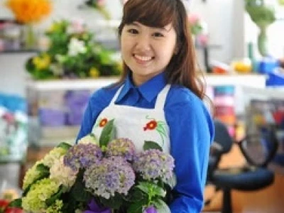 Cây Si Cảnh đẹp mê hồn cho không gian sống 2026