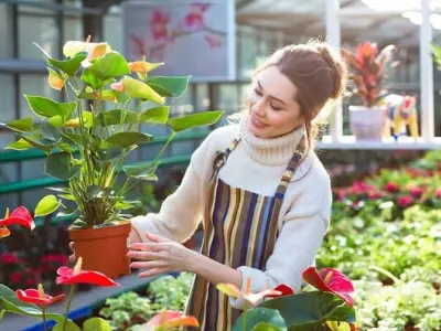 Chăm sóc sân vườn qua những khung hình xanh