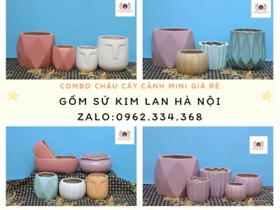 Chậu hoa cảnh nhỏ đẹp cho góc sống xanh 2026