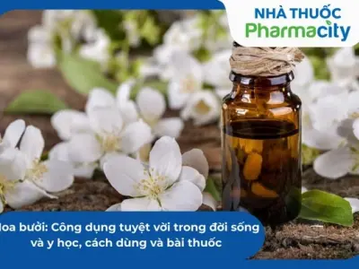 Hoa bưởi đẹp ngất ngây trong mùa hương tháng Ba