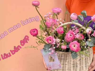 Hoa Mao Lương đẹp say lòng trong bộ ảnh rực rỡ