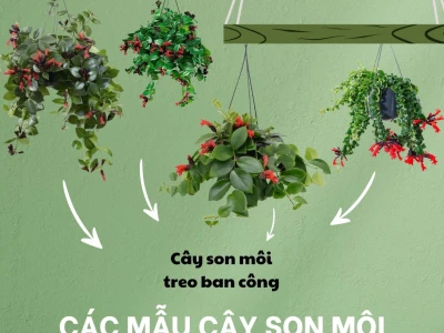 Hoa son môi đẹp mê hoặc trong từng khung hình