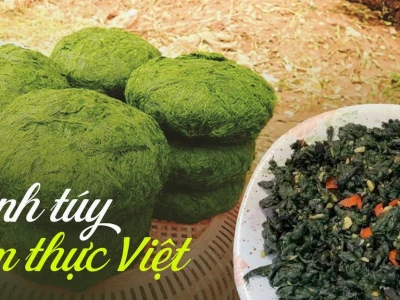 Rêu Núi vẻ đẹp xanh mướt giữa đá suối