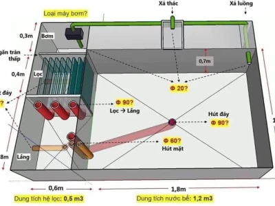 Thiết kế hồ cá Koi đẹp như khu vườn Nhật