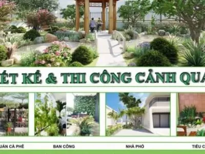 Thiết kế thi công sân vườn đẹp như tranh