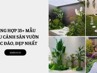 Thiết kế tiểu cảnh đẹp cho không gian sống xanh
