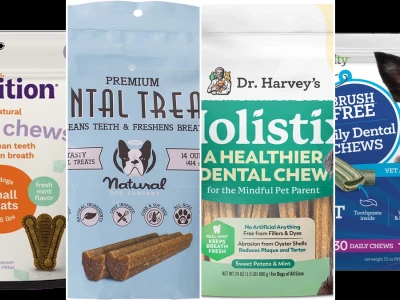 Selecting the best natural dental chews for dogs with sensitive mouths in 2026